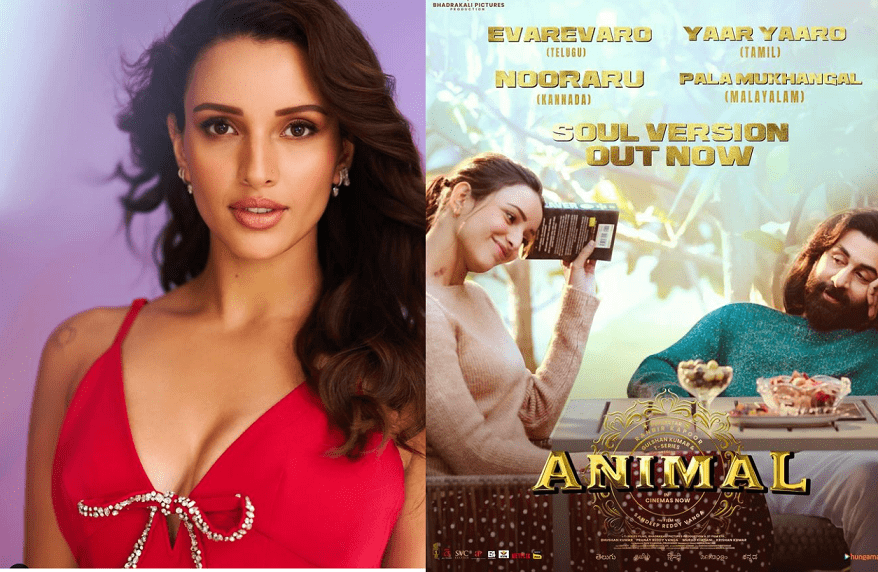 Tripti Dimri's Sleepless Nights - The Unveiling of a New Chapter in Life After the Impact of 'Animal'